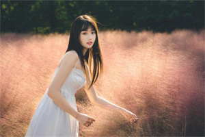 上海旅游相亲:梧桐叶落时遇见了知音